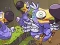 Jeu Save The Dodos en ligne
