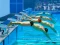 Jeu Swimming Pool Race en ligne