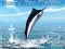 Jeu Azure Sea Fishing en ligne