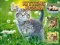 Jeu Kittens Jigsaw en ligne