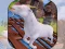 Jeu Angry Goat Wild Animal Rampage en ligne