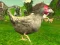 Jeu Chicken Shooter en ligne