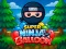 Jeu Super Ninja Balloon en ligne
