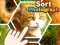 Jeu Sort Photograph en ligne