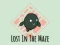 Jeu Lost In The Maze en ligne