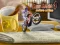 Jeu Bike Mania 4 Micro Office en ligne