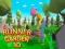 Jeu Runner Garden 3d en ligne