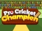 Jeu Pro Cricket Champion en ligne