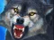 Jeu Sniper Wolf Hunter en ligne