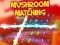 Jeu Mushroom matching en ligne