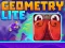 Jeu Geometry Lite en ligne