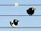 Jeu Gone with the Birds en ligne