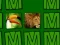 Jeu Memorina en ligne