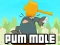 Jeu Pum-Mole en ligne