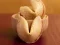 Jeu Fortune Cookies en ligne