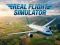 Jeu Real Flight Simulator en ligne