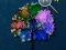 Jeu Hidden Stars en ligne