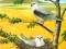 Jeu Birds Of Prey Puzzle en ligne