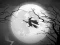 Jeu The Night Of the Witches Jigsaw en ligne