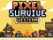 Jeu Pixel Survive Western en ligne