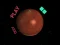 Jeu Space Car en ligne