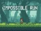 Jeu Impossible Run en ligne