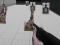 Jeu Shooting Range Simulator en ligne