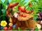 Jeu Hidden Objects Insects en ligne