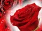 Jeu Red Roses en ligne