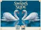 Jeu Swans Slide en ligne