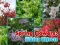 Jeu Spring Flowers: Hidden Objects en ligne