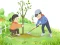Jeu Arbor Day Puzzle en ligne