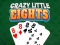 Jeu Crazy Little Eights en ligne
