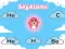 Jeu SkyAtoms en ligne