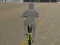 Jeu Bicycle Simulator en ligne