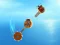 Jeu Crazy Machines en ligne