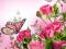 Jeu Butterflies Puzzle en ligne
