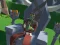 Jeu Lazy Orcs: Arena en ligne