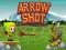 Jeu Arrow Shoot en ligne