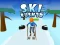 Jeu Ski Rush 3d en ligne