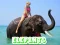 Jeu Elephants Puzzle en ligne