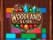Jeu Woodland Slide en ligne