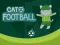 Jeu Cat Football en ligne