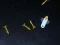 Jeu 5 Minutes in Space en ligne