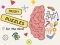 Jeu Brain Puzzles Quests en ligne