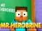 Jeu Mr Herobrine en ligne