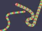 Jeu Slither Classic en ligne