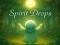 Jeu Spirit Drops en ligne