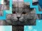 Jeu PicPu Cat en ligne