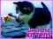 Jeu Six Little Kittens en ligne